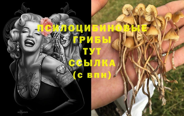 герыч Аркадак