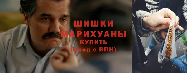 прущие грибы Арсеньев