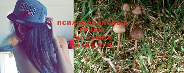 гашик Армянск