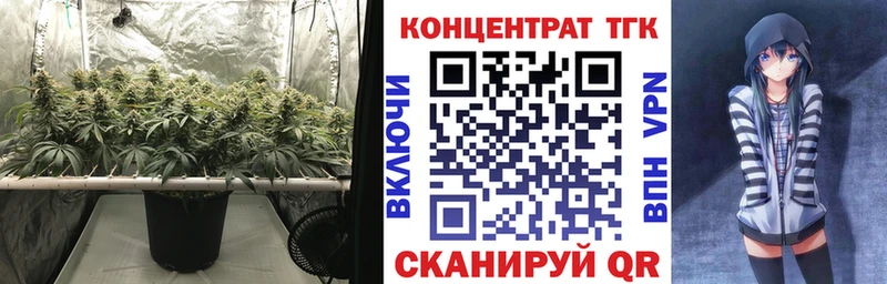 цена blacksprut вход Дистиллят ТГК THC oil Саки